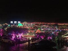 -枇杷园食为鲜火锅(南山店)