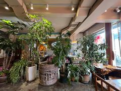 -慢丽江·云南野生菌土鸡锅(付家庄店)