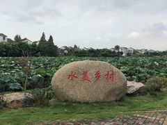 -东山香樟园