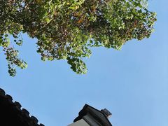 -老门东历史文化街区