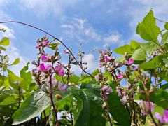 -上海日海酒店-停车场