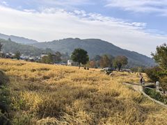-塔川景区