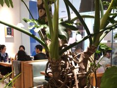 -避风塘·老港味餐厅(虹口龙之梦店)