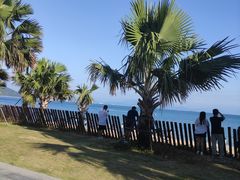 -大梅沙海滨公园