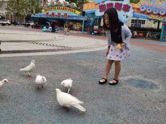 -烟台海昌鲸鲨海洋公园