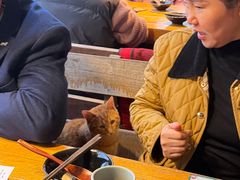 -马灯部落·西湖边的创意山景餐厅(虎跑动物园店)