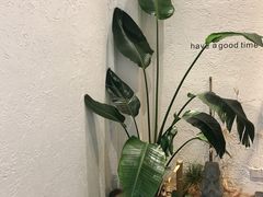 -如禾素食·下午茶·糖水