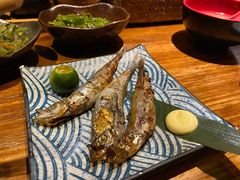 -酒窝烧鸟(科华街店)