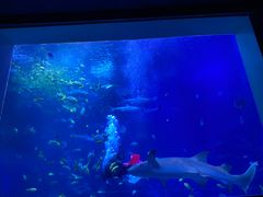 -太平洋海底世界