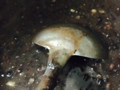 -大富贵(江西中路店)