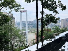 -大炮糯米凉虾(南坪后堡店)