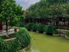 -龙潭水乡