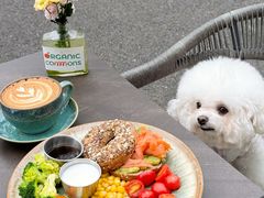 -ommo cafe(半岛城邦店)