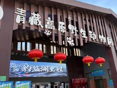 -青藏高原野生动物园