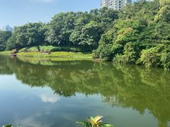 -深圳国际园林花卉博览园