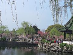 -无锡蠡湖国家湿地公园-蠡园