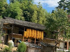 -齐岳山