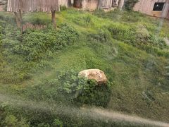 -无锡动物园·太湖欢乐园