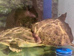 -食理八湘(中海城风情苑北区店)