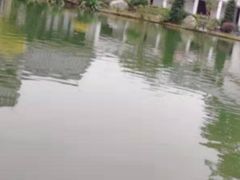 -谷丰健康凤贤居酒家