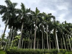 -南宁南湖公园
