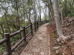 -上海佘山国家森林公园天马山园