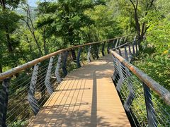 -白水寺森林公园