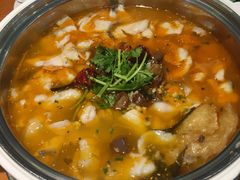 肥肠鱼-龙梅肥肠鱼(明瓦廊店)