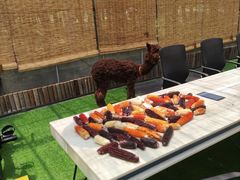 -美家乐农庄·露营·团建(大治路店)