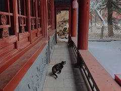 -宣武艺园