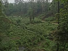 -樱桃山旅游景区