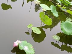-黄兴公园
