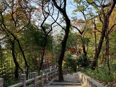 -灵岩山风景区