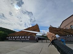 -茅兰沟国家森林公园