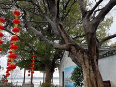 -无锡蠡湖国家湿地公园-蠡园
