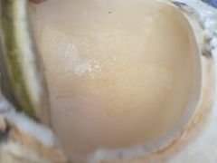 -东郊椰林