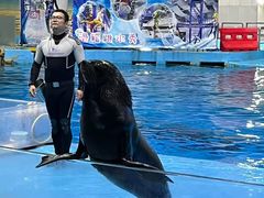 -合肥海洋世界