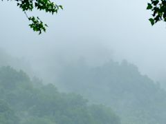 -中国茶叶博物馆(双峰馆区)