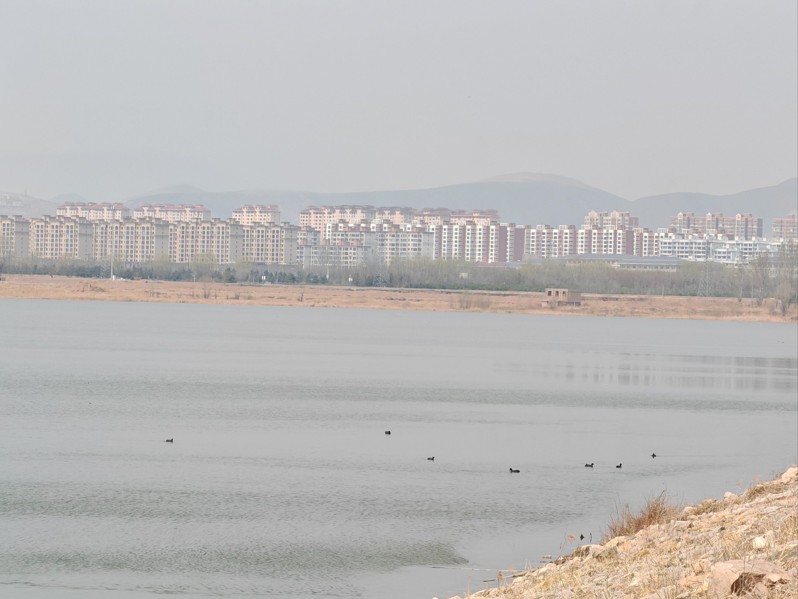 0元玩转这座城 大同广灵县的湿地公园