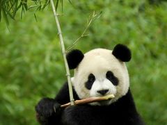 -莱仪堂艾灸经络养生馆(九亭一店)