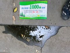 -三门江国家森林公园