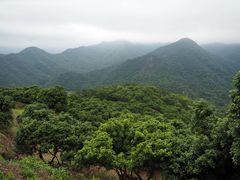-广州市石门国家森林公园