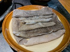 鲜毛肚-仪表厂火锅(总店)