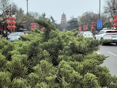 -大慈恩寺(大雁塔)