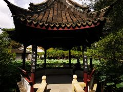 -上海醉白池公园