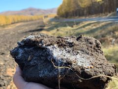 -塞罕坝国家级自然保护区