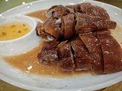 -鸿达渔港