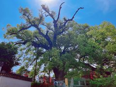 -新安江山水画廊风景区