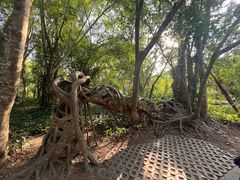 -中国科学院西双版纳热带植物园