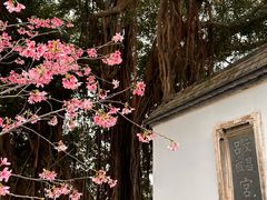 -乌山风景区